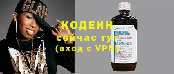 тгк Снежинск