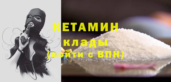 шишки Аркадак