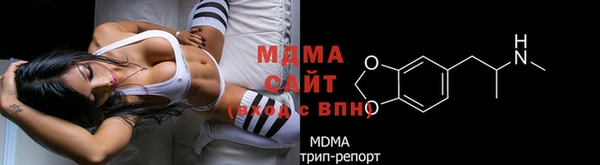 шишки Аркадак