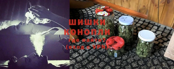 шишки Аркадак