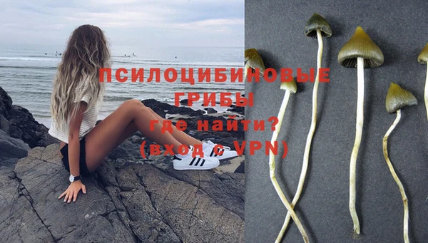 мескалин Армянск