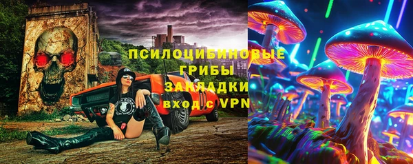 шишки Аркадак