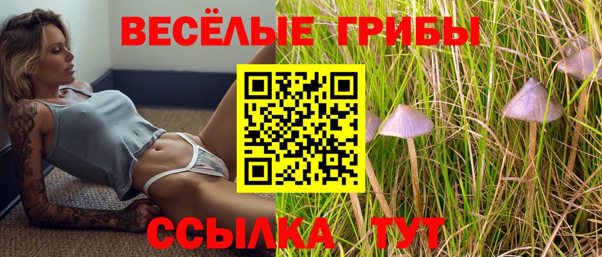 Псилоцибиновые грибы прущие грибы Вольск