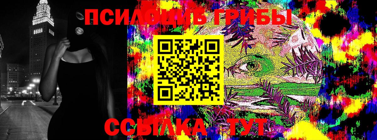 как найти наркотики  Галлюциногенные грибы MAGIC MUSHROOMS  Вход с VPN  Вольск 