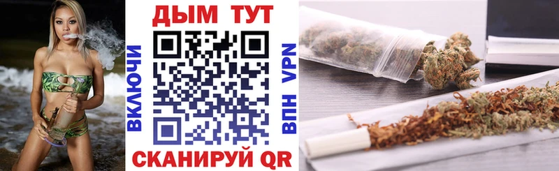 купить наркотик  Вольск  Шишки марихуана SATIVA & INDICA 